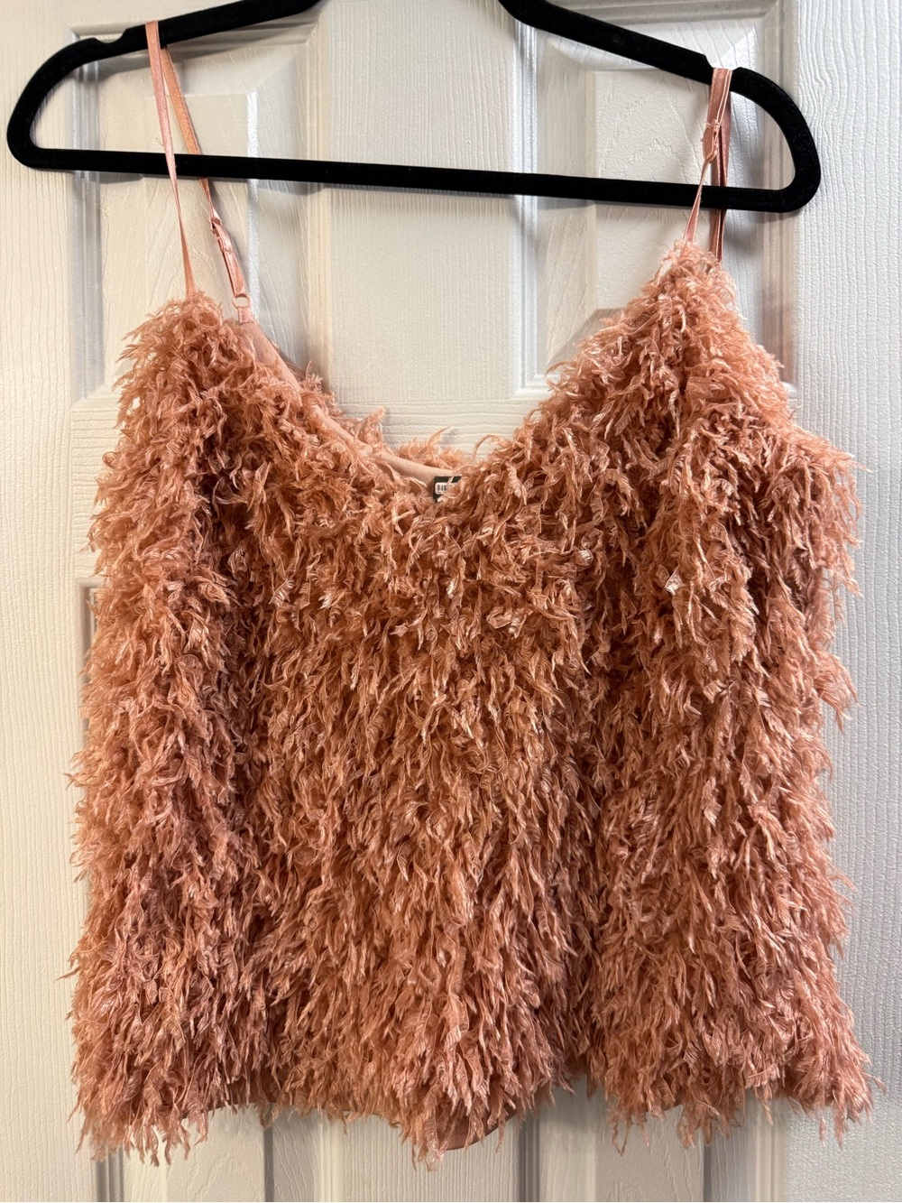 Sunday in Brooklyn Feathered Camisole in Peach